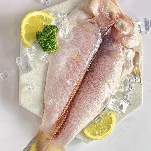 제주 참옥돔 (250g~300g)>3마리 옵션 이미지