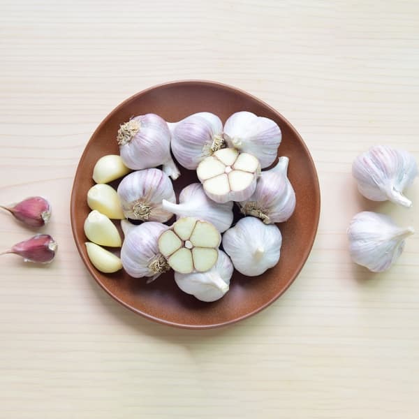 산지직배송 국내산 햇마늘 1kg-5kg