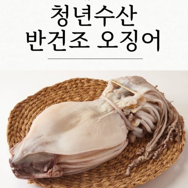 반건조오징어 5미 250G 내외 옵션 이미지
