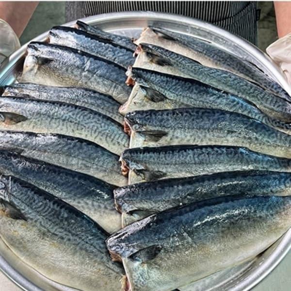 [산앤들]순살 안동 간고등어100g/120g/140gx 10팩