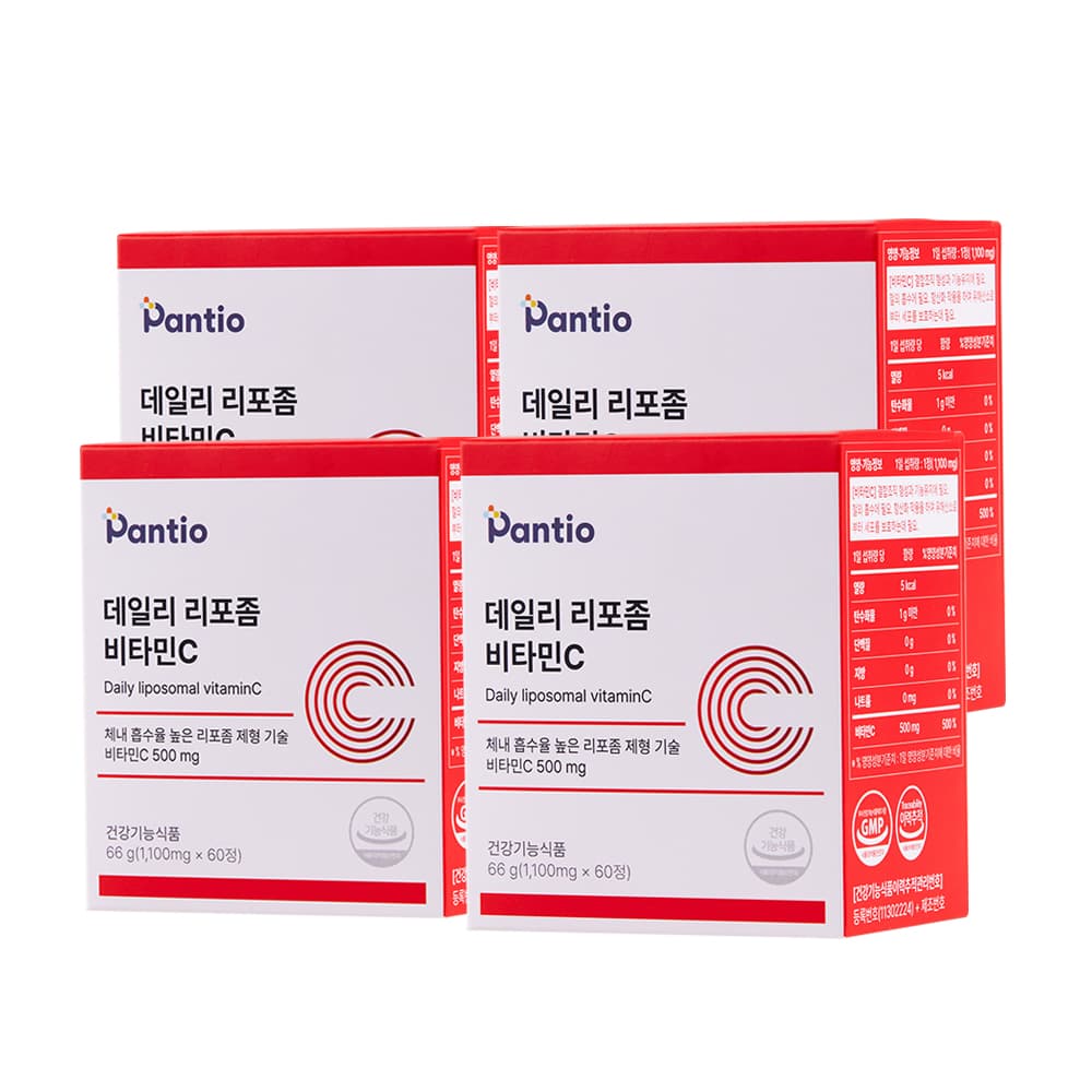 4개(8개월분) 옵션 이미지