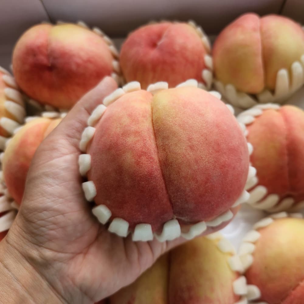 [대한농부] ★상콤달콤★ 여름맛 딱딱이복숭아 2kg / 4kg