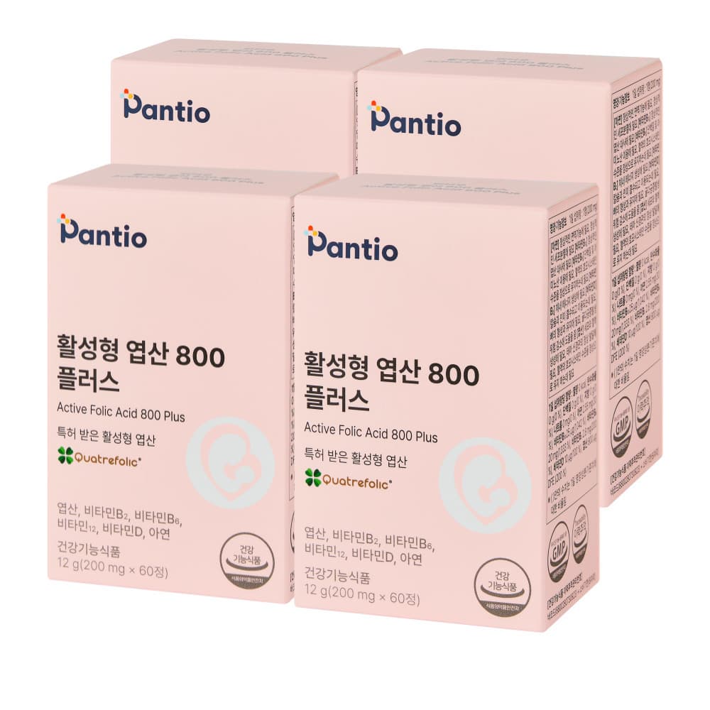 4개(8개월분) 옵션 이미지