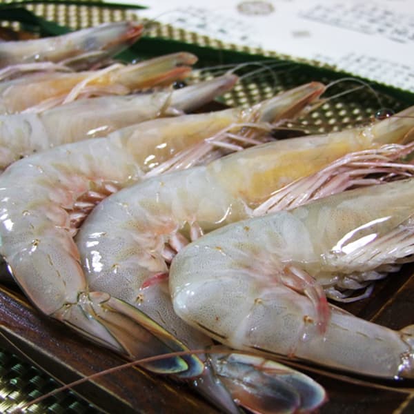 청정태안 자연산대하 1kg + 천일염 증정