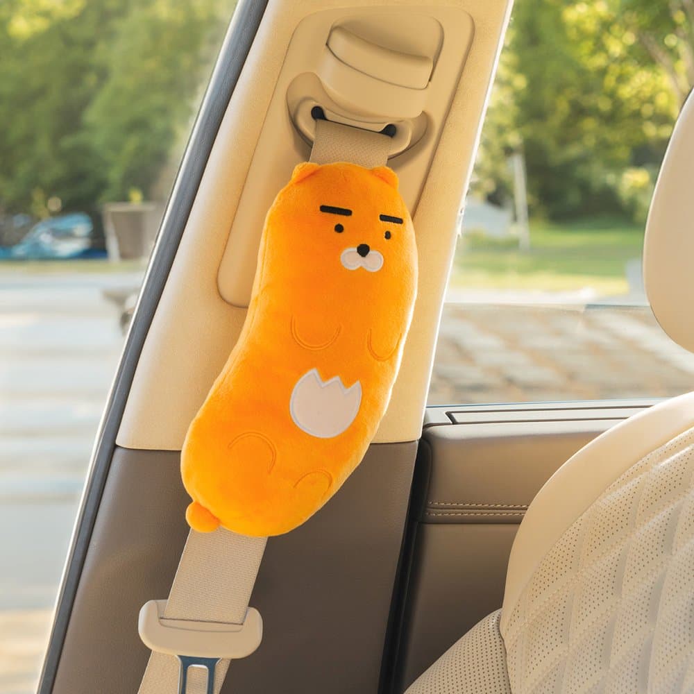 라이언 옵션 이미지