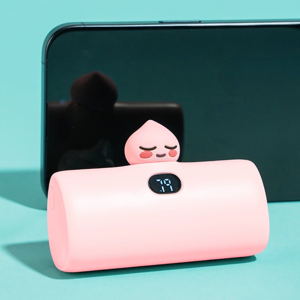 C타입/어피치 옵션 이미지