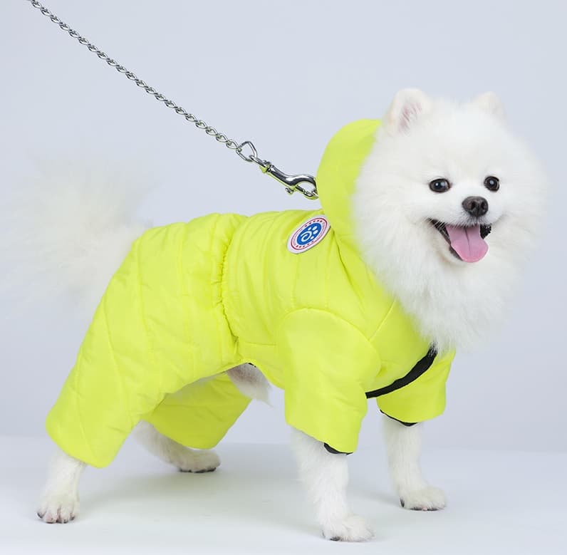 우기펫 강아지 패딩자켓 강아지옷 서브 이미지 3
