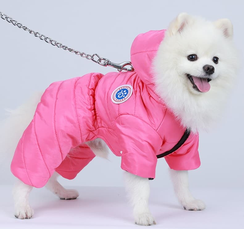 우기펫 강아지 패딩자켓 강아지옷 서브 이미지 4
