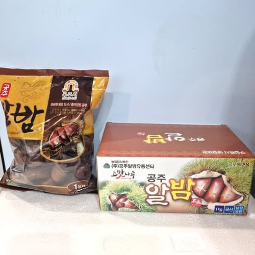 옥광밤 대