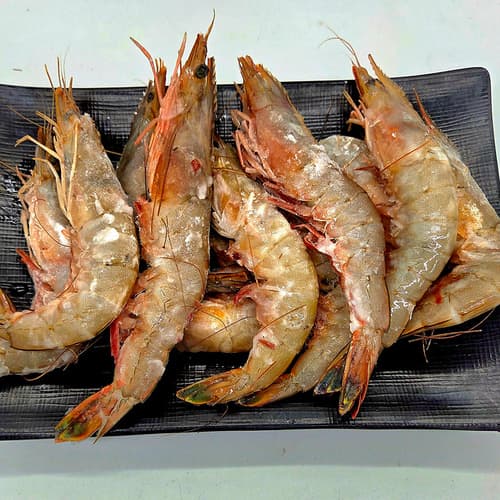 자연산 대하