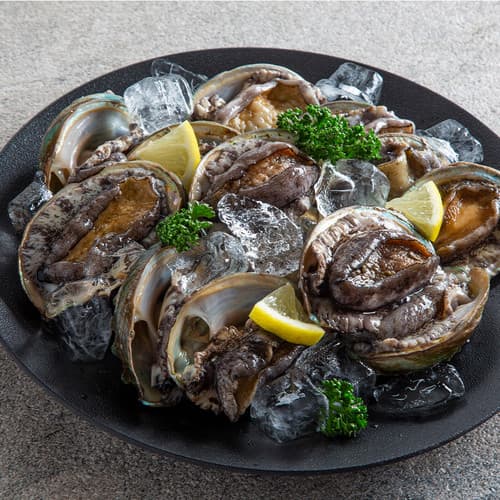 완도전복 1kg