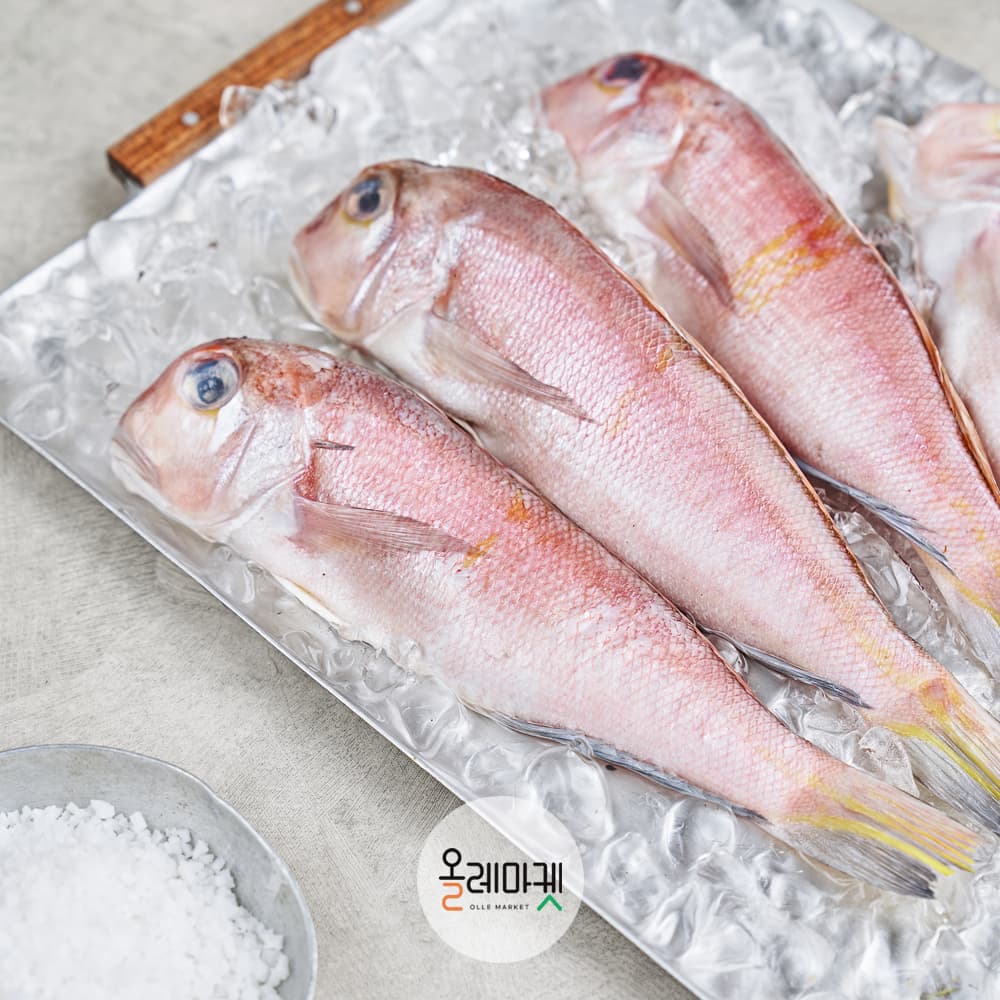 제주 통옥돔 100g 5미 / 120g 5미
